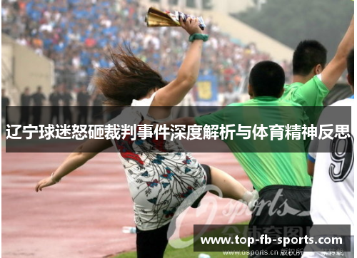 辽宁球迷怒砸裁判事件深度解析与体育精神反思 辽宁球迷怒砸裁判事件深度解析与体育精神反思